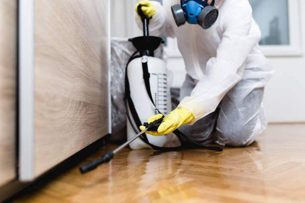 Best Rat Extermination Near Me  in Sycamore, GA