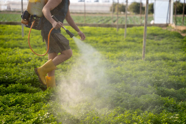 Best Best Pest Control Companies  in Sycamore, GA