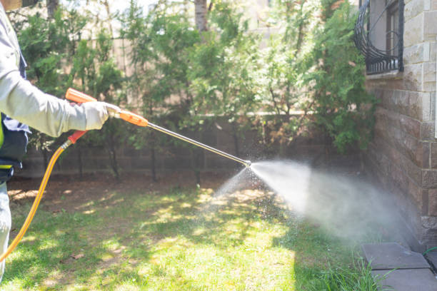Best Wasp Removal Services  in Sycamore, GA