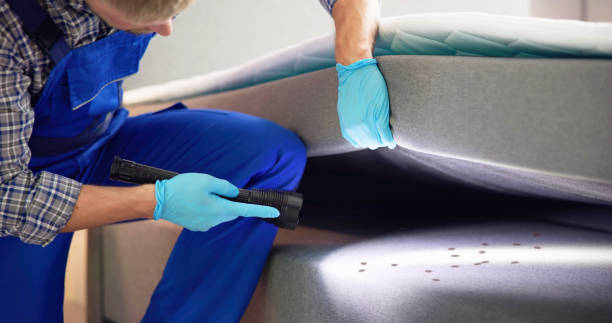 Pest Control Cost in Sycamore, GA