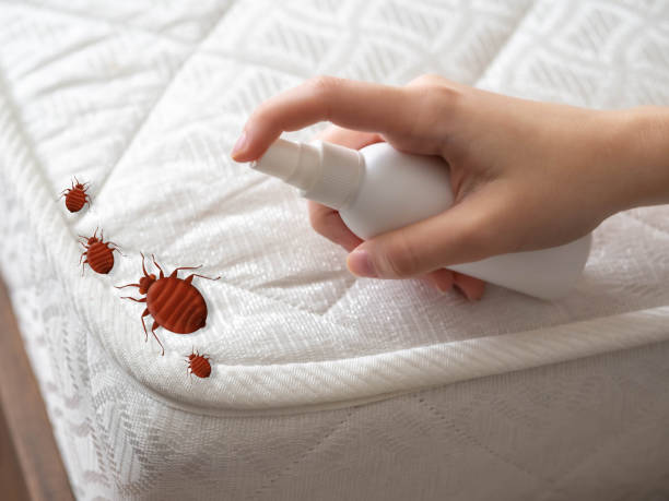 Best Pest Inspection Near Me  in Sycamore, GA