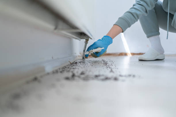 Best Emergency Pest Control  in Sycamore, GA